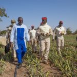 Burkina Faso : L’offensive agropastorale et halieutique, un levier pour la souveraineté alimentaire