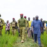 Burkina Faso : Le Président Ibrahim Traoré intensifie la riziculture pour conduire le pays vers l’autosuffisance alimentaire